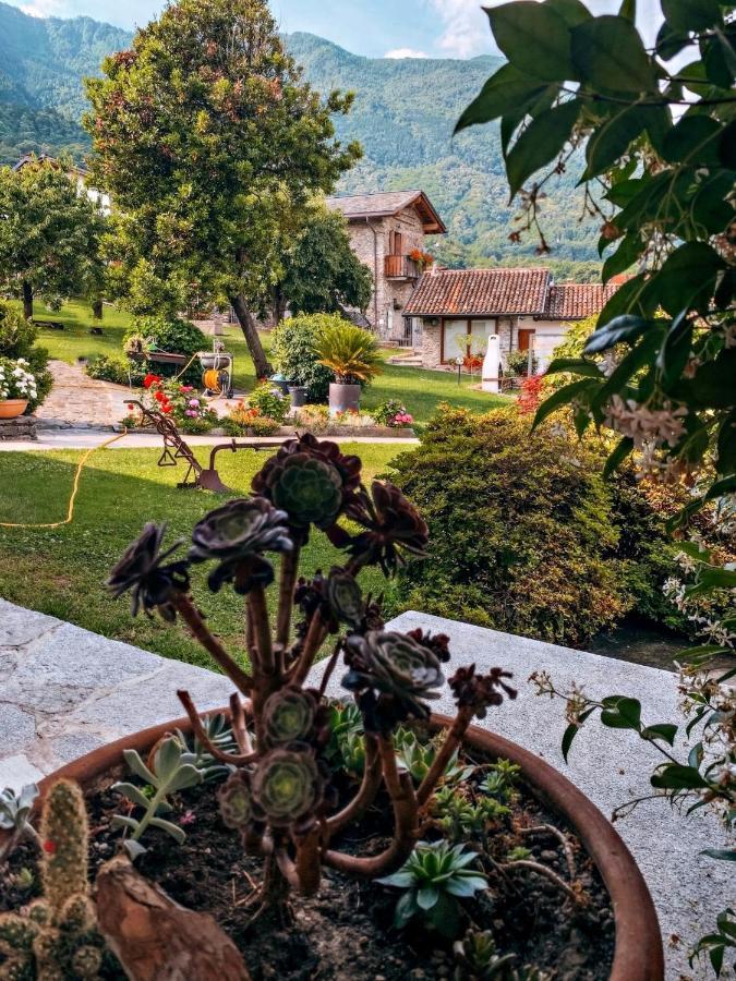 Il Fienile - Lake Como Heritage Home In Molino Maufet Watermill - Lake View Terrace Colico Ngoại thất bức ảnh